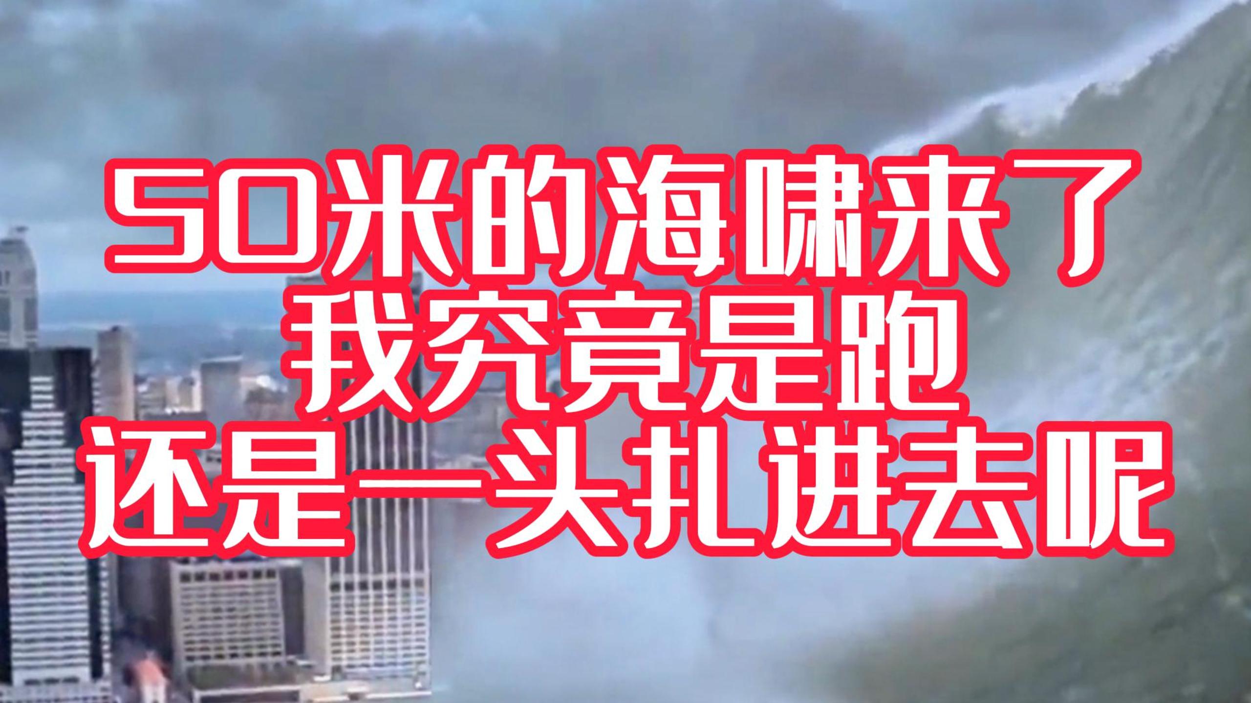 海啸来了~我是跑呢？还是栽进去呢？#科普三维动画