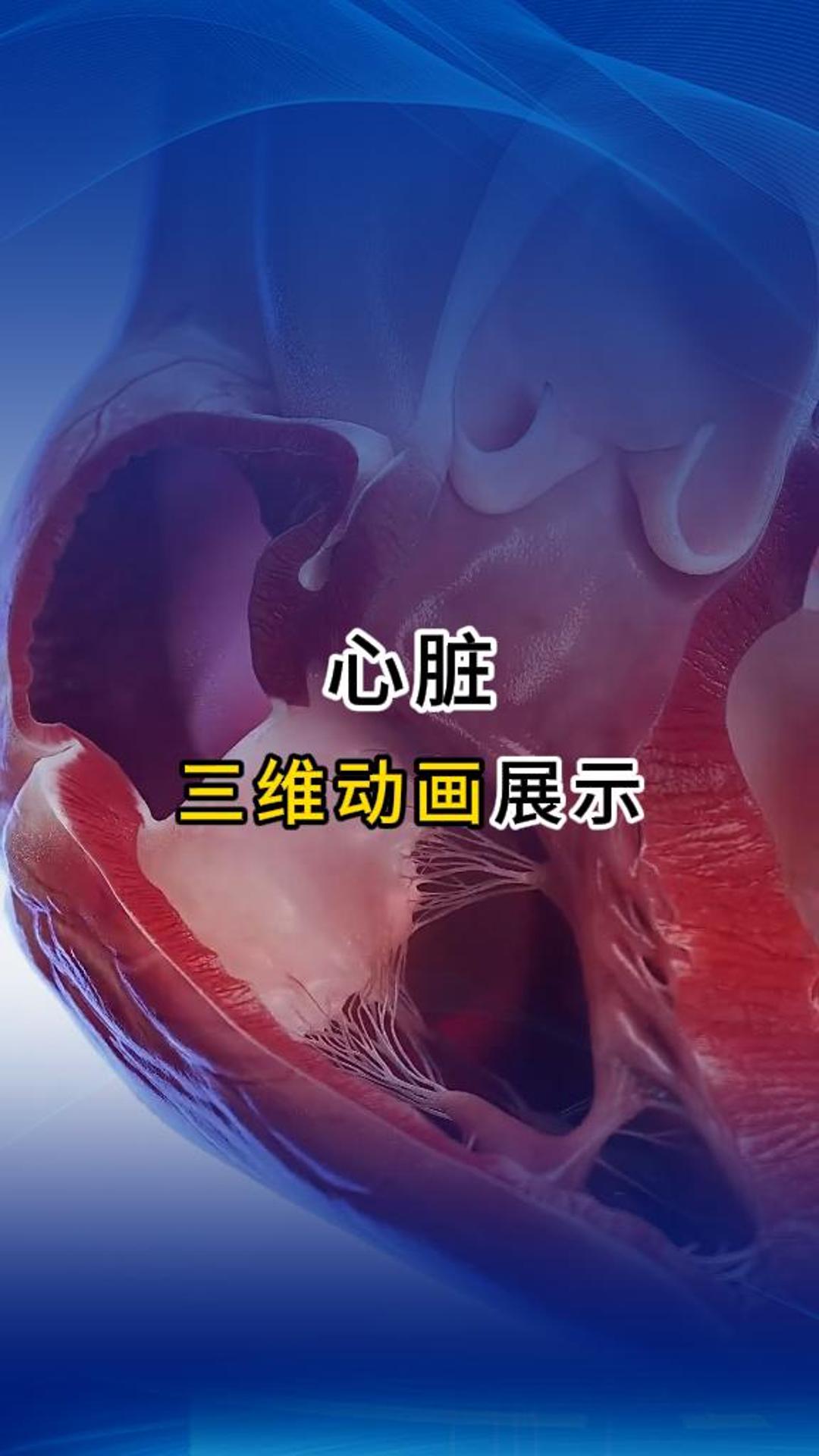 来自心脏的告白！医疗三维动画-三维动画制作公司-BEVICTOR伟德科技